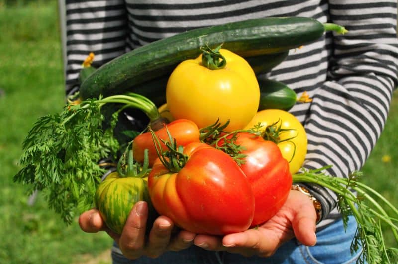 Cultiver ses fruits et légumes est un bonheur tout simple à vivre chez soi.