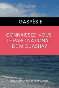 Vous prévoyez un voyage en Gaspésie? Je vous recommande fortement la visite du Parc national de Miguasha. Il s'agit d'un site fossilifère faisant partie de la liste du patrimoine mondial de l'UNESCO. À découvrir! Un article du blog Pour un bonheur simple.