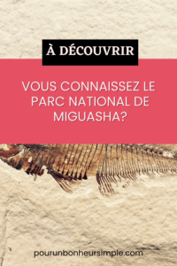 Je t'invite à découvrir le Parc national de Miguasha, un site fossilifère qui fait partie du patrimoine mondial de l'UNESCO, rien de moins. Bonne lecture. Un article issu du blog Pour un bonheur simple.