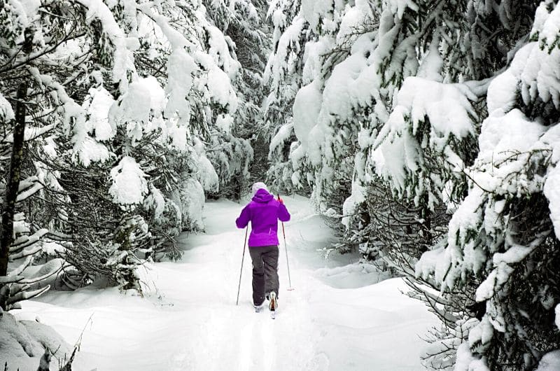 Découvrez plus de50 idées d'activités à faire en hiver! Un article du blog Pour un bonheur simple.