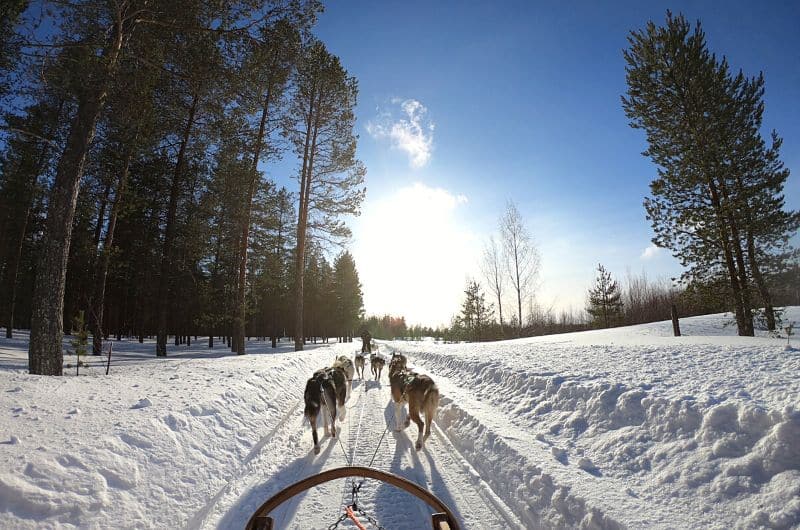 Participer à une randonnée de traîneau à chiens est une activité hivernale originale et excitante à faire en hiver au Québec.