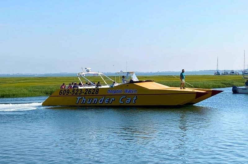 Le speedboat Thunder Cat est un bateau utilisé pour les excursions aux dauphins dans la région des Wildwoods dans le New Jersey.