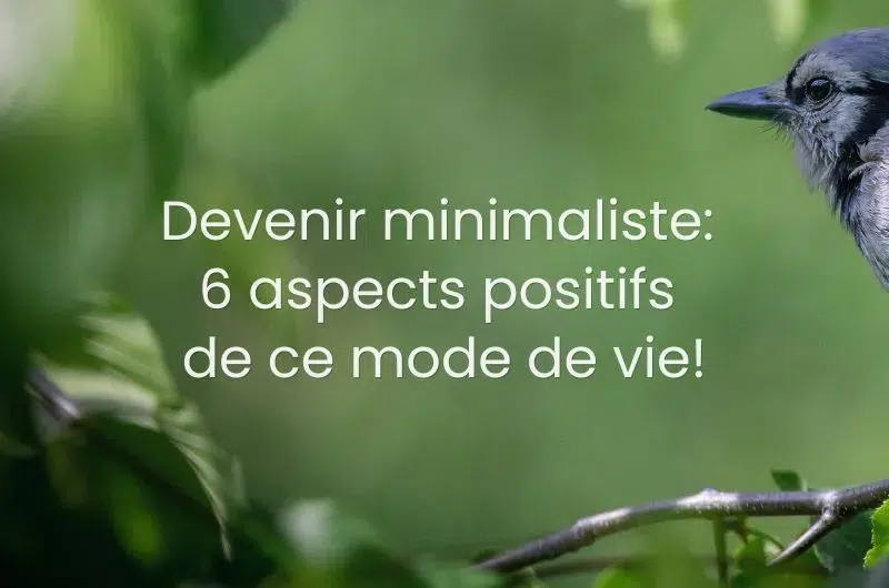 Minimalisme choix positif