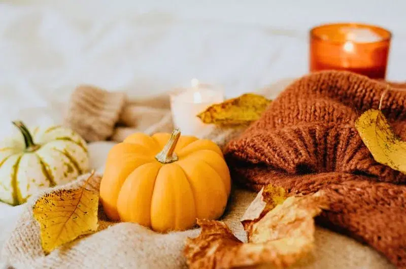 Voici un article inspirant pour te permettre de vivre un automne inspirant et remplie de sens et de magie. Un article de blog Pour un bonheur simple.