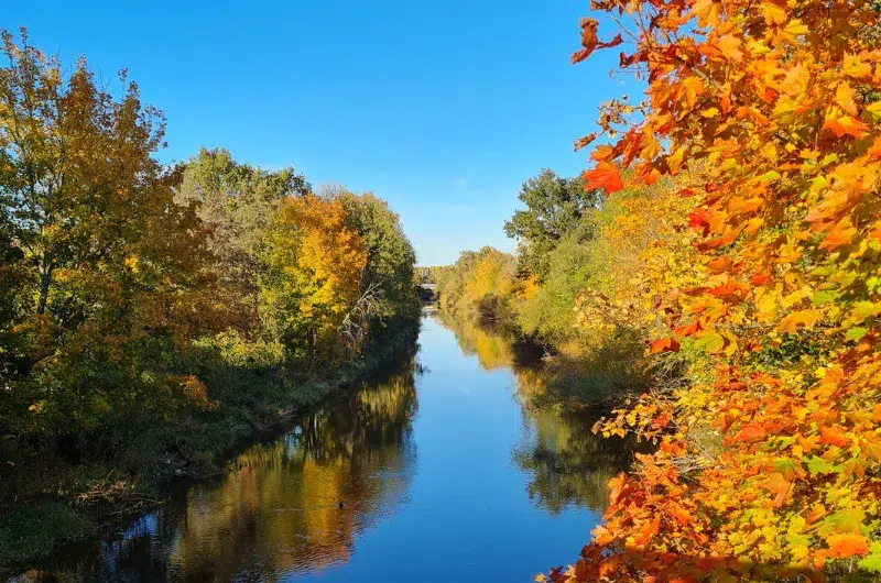 Les belles couleurs de l'automne. Les belles couleurs de l'automne.