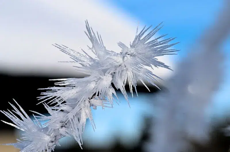Découvre ici une buck lit d'hiver généreuse en idées pour t'aider à créer ta propre liste de rêves et de projets pour l'hiver qui s'en vient. Un visuel au soutien d'un article du blog Pour un bonheur simple.