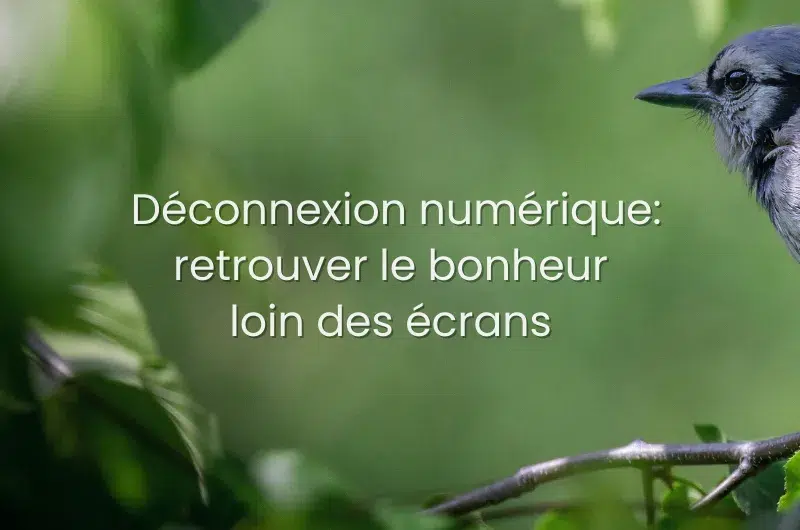 Déconnexion numérique: retrouverle bonheur loin des écrans.