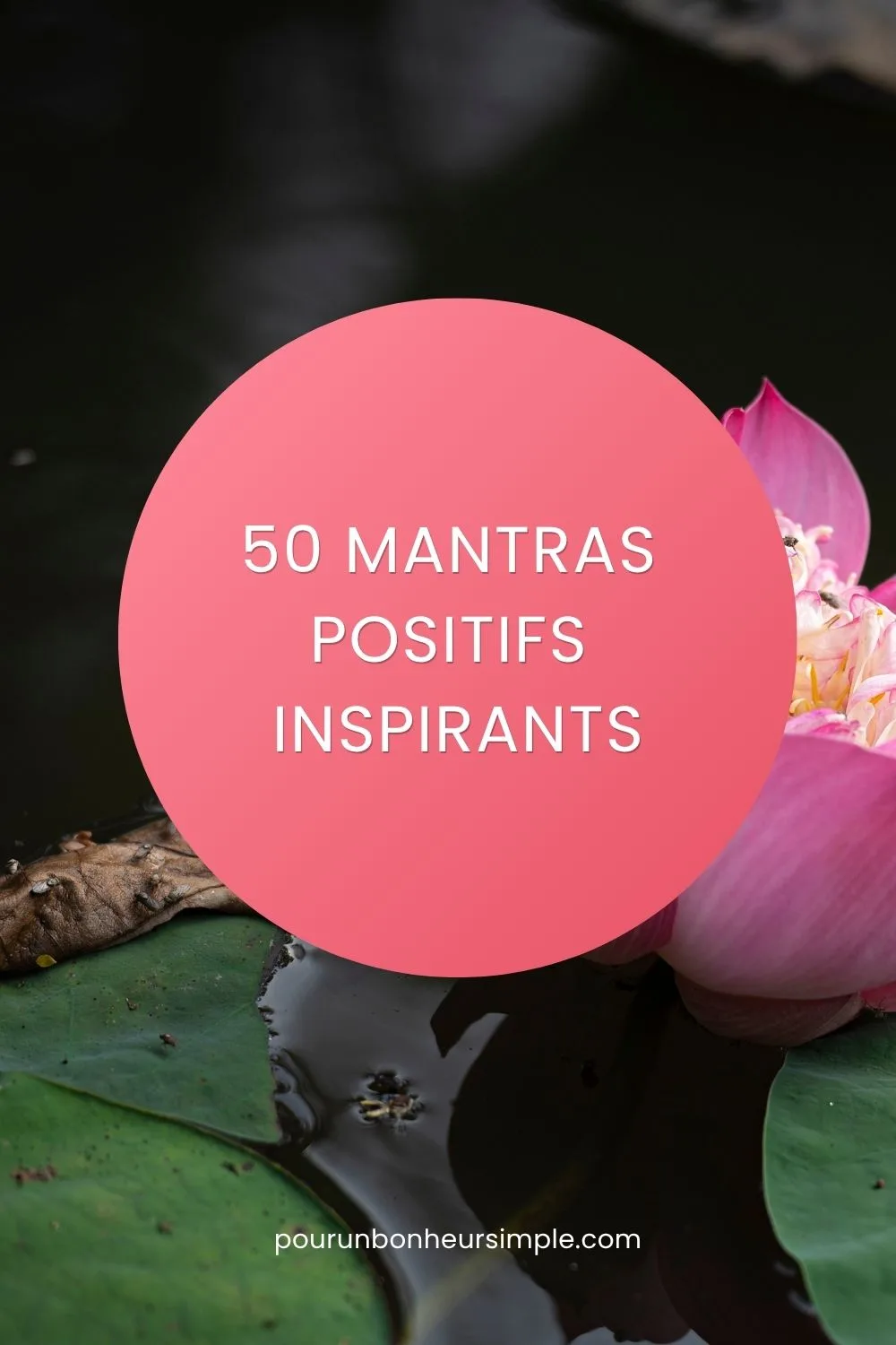Voici 50 mantras positifs à utiliser au quotidien pour avancer et vivre plus heureux chaque jour. Un article du blog Pour un bonheur simple. 