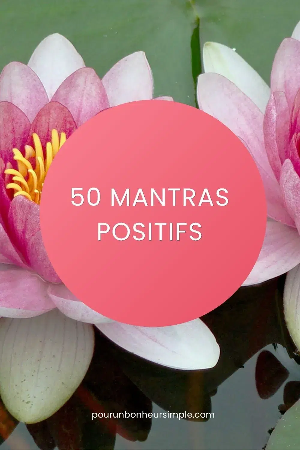 Je te partage ici 50 mantras positifs à utiliser à ta guise pour te guider et rester positif au quotidien. Un article du blog Pour un bonheur simple. 